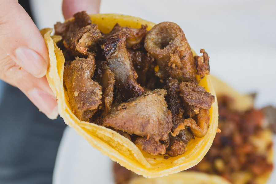 Tripa/Toungue Tacos